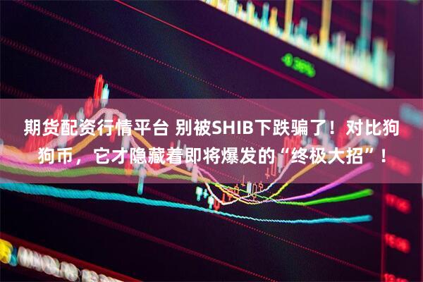 期货配资行情平台 别被SHIB下跌骗了！对比狗狗币，它才隐藏着即将爆发的“终极大招”！