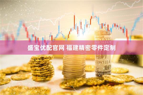 盛宝优配官网 福建精密零件定制