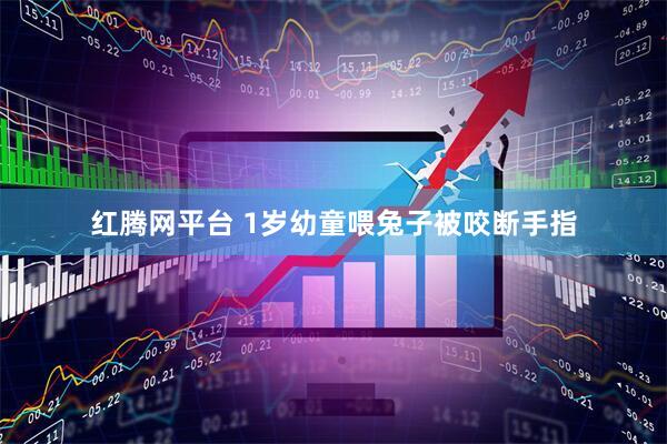 红腾网平台 1岁幼童喂兔子被咬断手指